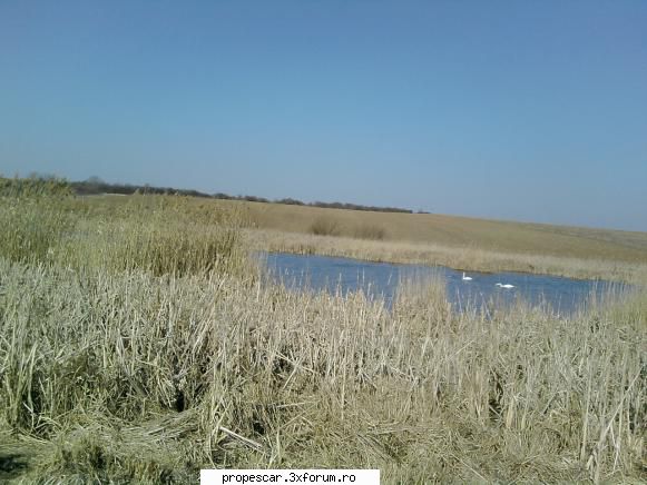ACUMULAREA SANTIMREU - Palatinusz - Lacuri/Canale