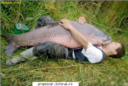Cum poti prinde o LISITA la feeder. - Sarutama cu drag :X:X - Pescuit la feeder