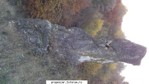 Frumusetile naturii - Gigi - Poze de la membri