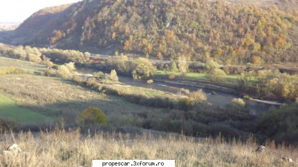 , si cum nu pute-am sta departe de cris ... naturii