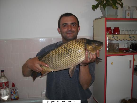 numai caras
 :nebun:  :rotfl: populari 2011