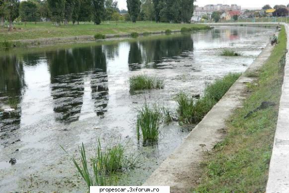 repede se sub ochii 
 şi betonarea malurilor au condus la aspectul de azi al r�ului: plin cu