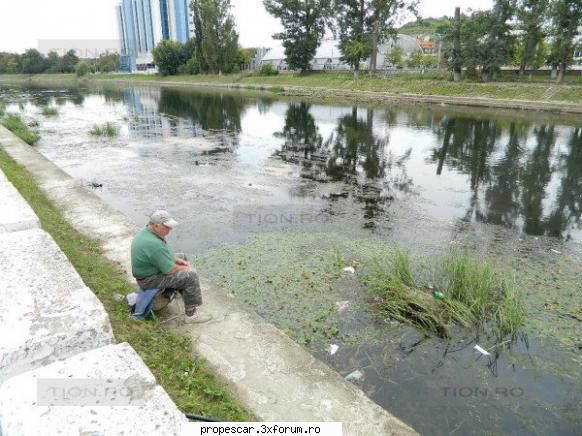 asa este si inca ce verde!!! pescuit pe crisuri