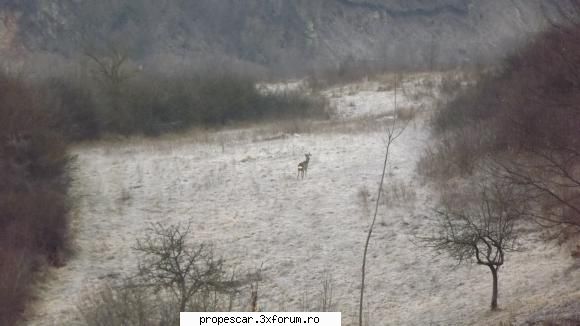 ... poze natura - diverse