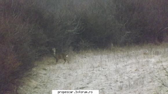 poze natura - diverse oportunitati - chiar m-a vazut pe data viitoare - Poze de la membri